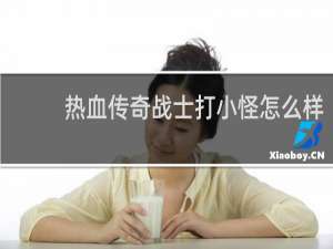 热血传奇战士打小怪怎么样