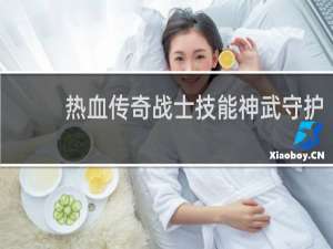 热血传奇战士技能神武守护