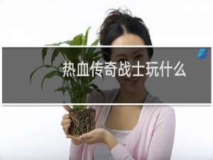 热血传奇战士玩什么