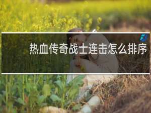 热血传奇战士连击怎么排序