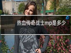 热血传奇战士mp是多少