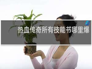 热血传奇所有技能书哪里爆