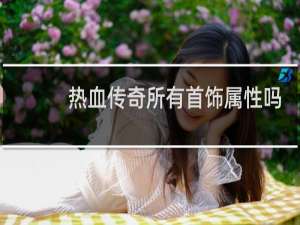 热血传奇所有首饰属性吗
