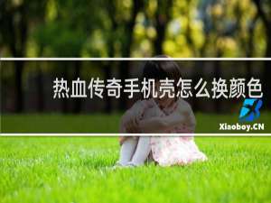 热血传奇手机壳怎么换颜色