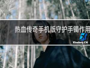 热血传奇手机版守护手镯作用