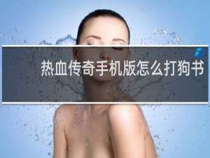 热血传奇手机版怎么打狗书