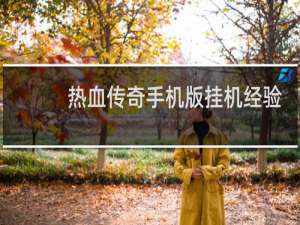 热血传奇手机版挂机经验