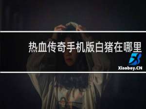 热血传奇手机版白猪在哪里