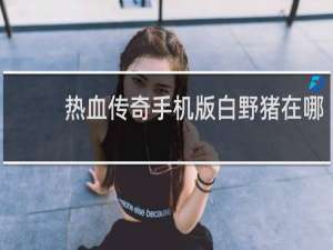 热血传奇手机版白野猪在哪