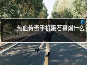 热血传奇手机版石墓爆什么