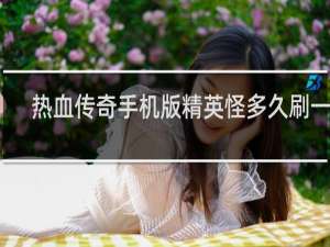 热血传奇手机版精英怪多久刷一次