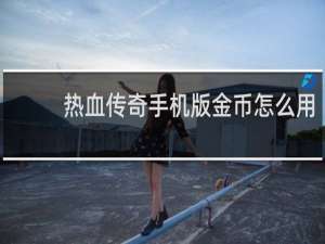 热血传奇手机版金币怎么用