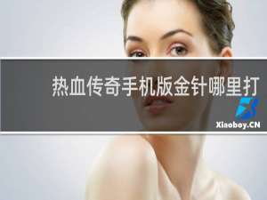 热血传奇手机版金针哪里打