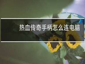 热血传奇手柄怎么连电脑