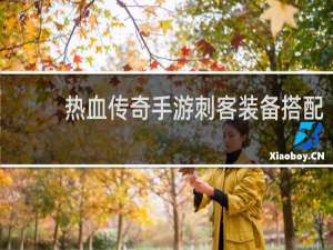热血传奇手游刺客装备搭配