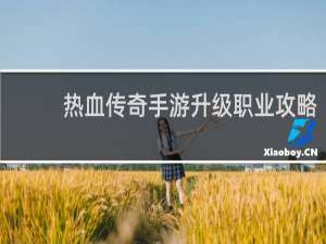 热血传奇手游升级职业攻略
