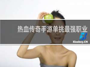 热血传奇手游单挑最强职业