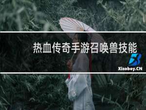 热血传奇手游召唤兽技能