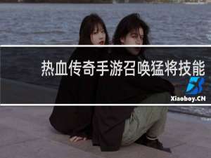 热血传奇手游召唤猛将技能