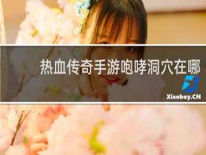 热血传奇手游咆哮洞穴在哪