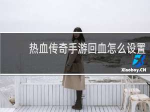 热血传奇手游回血怎么设置