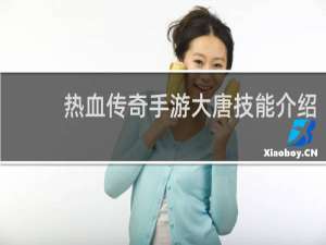 热血传奇手游大唐技能介绍