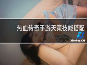 热血传奇手游天策技能搭配
