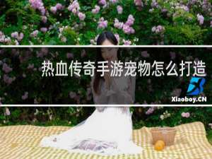 热血传奇手游宠物怎么打造