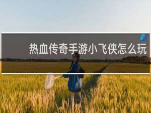 热血传奇手游小飞侠怎么玩