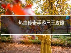 热血传奇手游尸王攻略