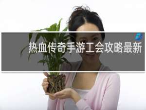 热血传奇手游工会攻略最新