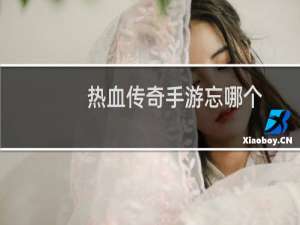 热血传奇手游忘哪个