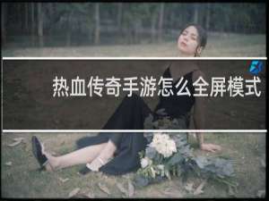 热血传奇手游怎么全屏模式