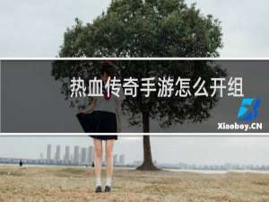 热血传奇手游怎么开组
