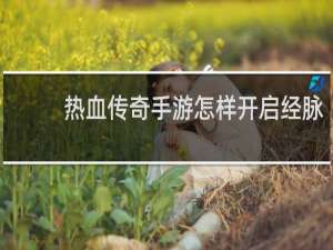 热血传奇手游怎样开启经脉