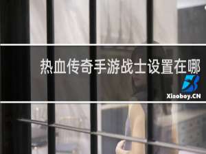 热血传奇手游战士设置在哪
