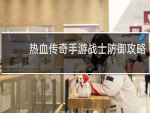 热血传奇手游战士防御攻略