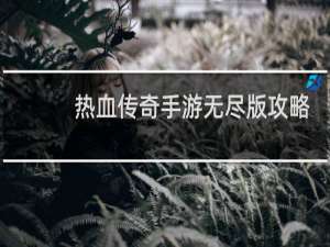 热血传奇手游无尽版攻略