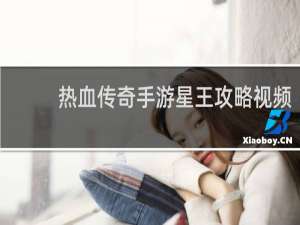 热血传奇手游星王攻略视频