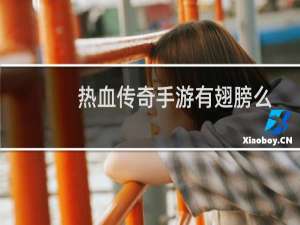 热血传奇手游有翅膀么