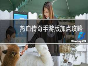 热血传奇手游版加点攻略