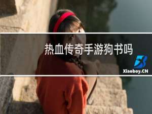 热血传奇手游狗书吗