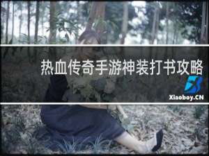 热血传奇手游神装打书攻略