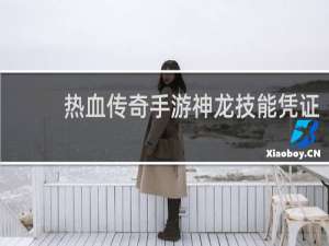 热血传奇手游神龙技能凭证