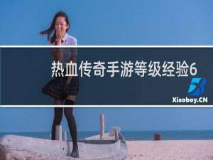 热血传奇手游等级经验6
