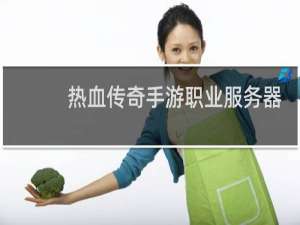 热血传奇手游职业服务器