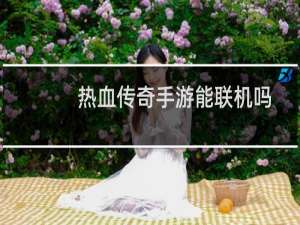 热血传奇手游能联机吗