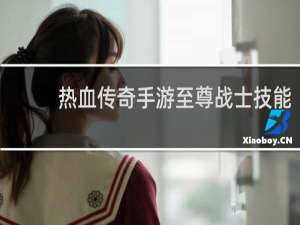 热血传奇手游至尊战士技能