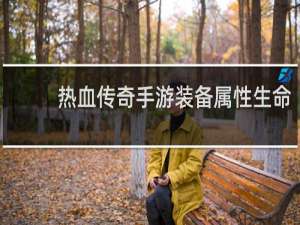 热血传奇手游装备属性生命
