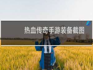 热血传奇手游装备截图